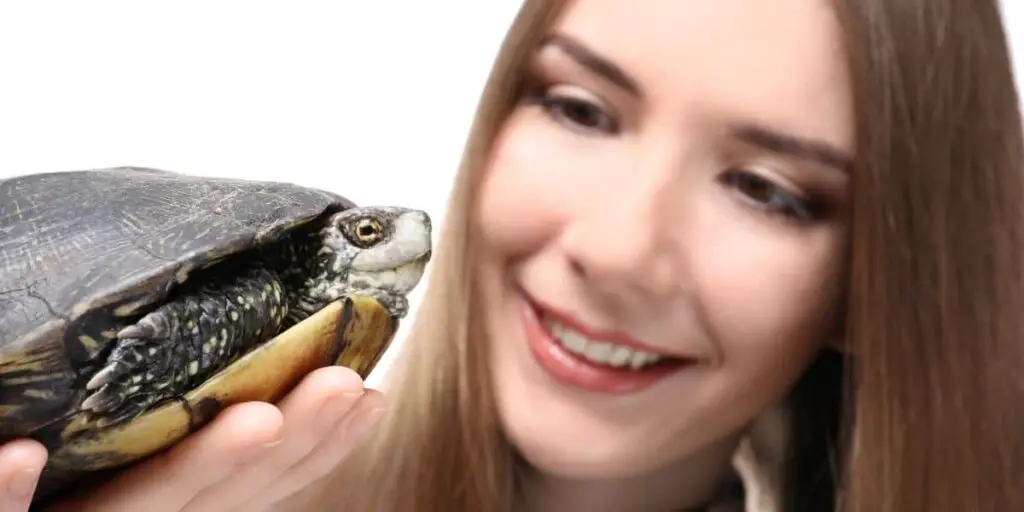 pet turtle owner and turtle