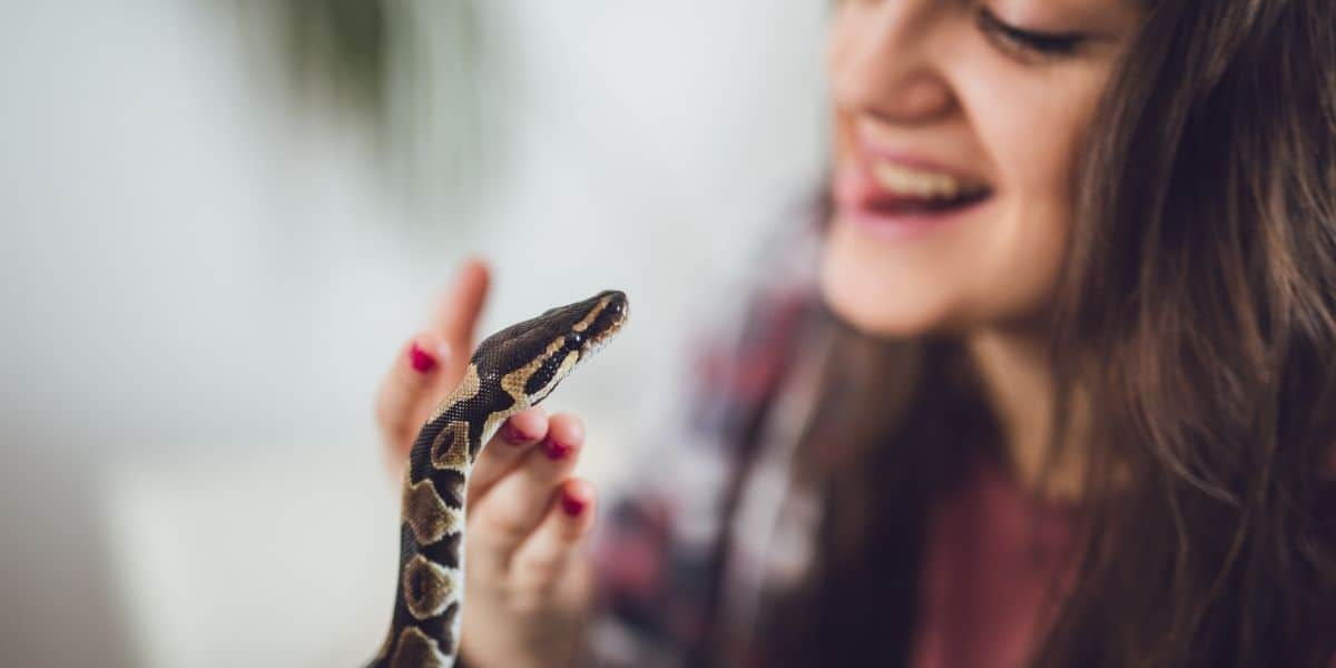 snake with owner