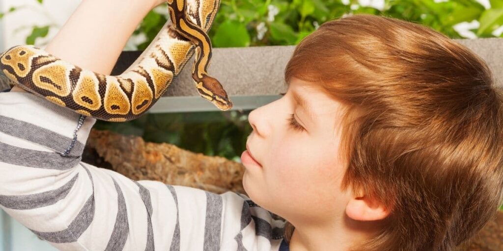 pet snake with young boy