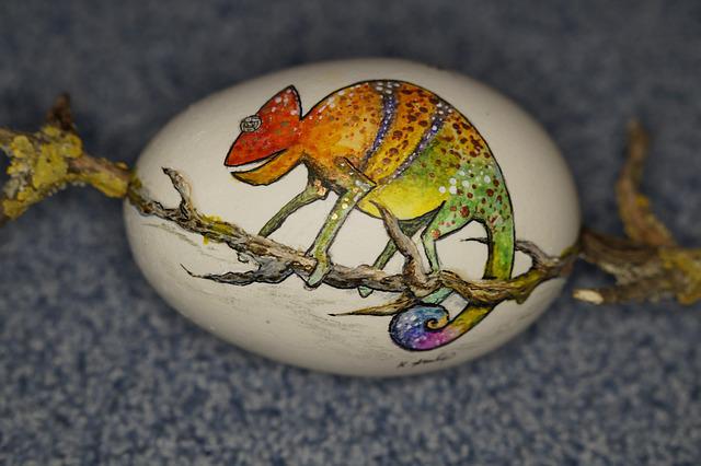 What to do with infertile chameleon eggs? A Helpful Guide