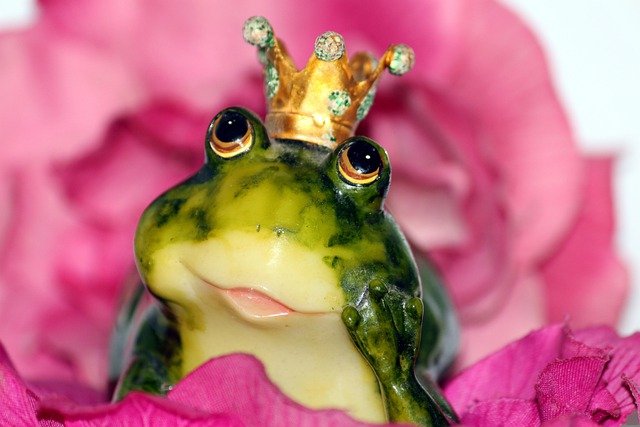 Do Frogs Get Lonely? You Will Be Surprised