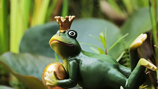 Do Frogs Feel Happiness? You Will Be Surprised
