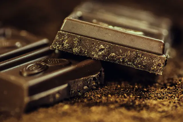 Can Lizards Eat Chocolate? A Must Read Answer