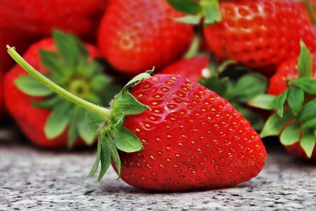 Can Bearded Dragons Eat Strawberries? A Comprehensive Guide