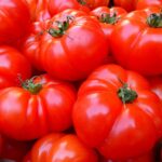 Can Tortoises Eat Tomatoes? A Comprehensive Guide to Feeding Your Tortoise